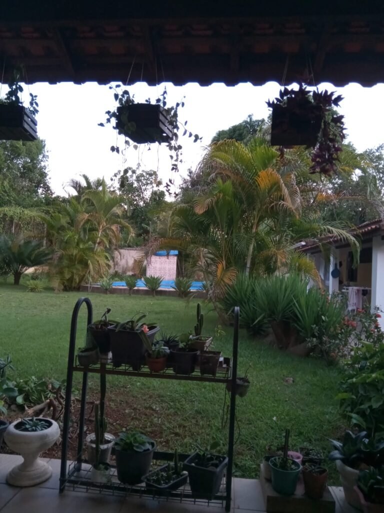 WhatsApp Image 2026-01-13 at 12.40.27 (4)