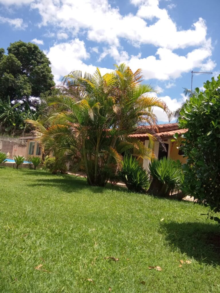 WhatsApp Image 2026-01-13 at 12.40.27 (5)