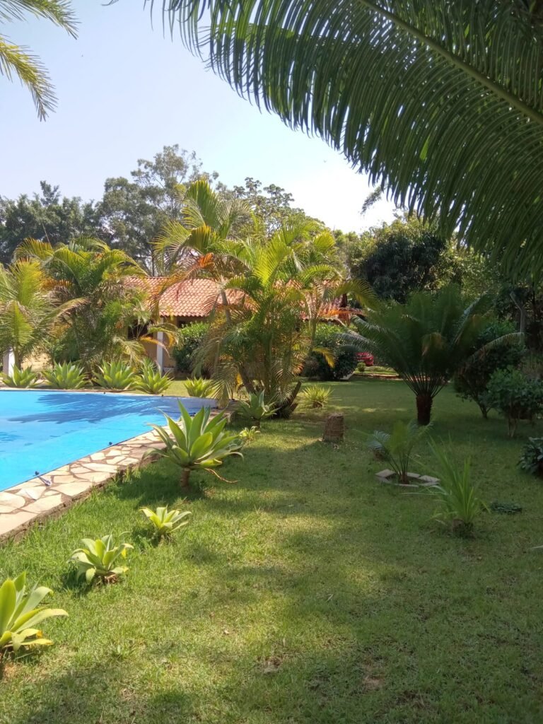 WhatsApp Image 2026-01-13 at 12.40.28 (2)