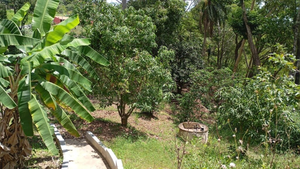 WhatsApp Image 2026-02-04 at 09.56.52 (1)